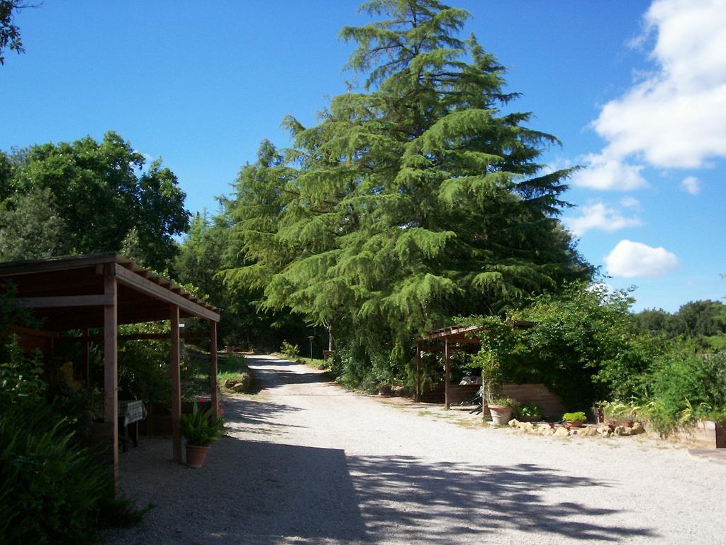 Podere Il Caggio Rooms San Gimignano Ngoại thất bức ảnh