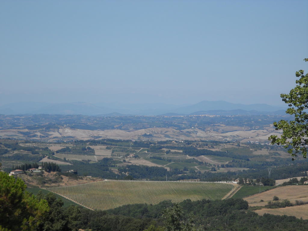 Podere Il Caggio Rooms San Gimignano Ngoại thất bức ảnh